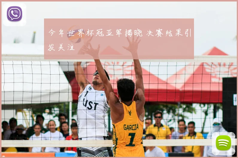今年世界杯冠亚军揭晓 决赛结果引发关注