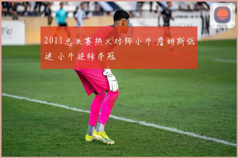 2011总决赛热火对阵小牛 詹姆斯低迷 小牛逆转夺冠