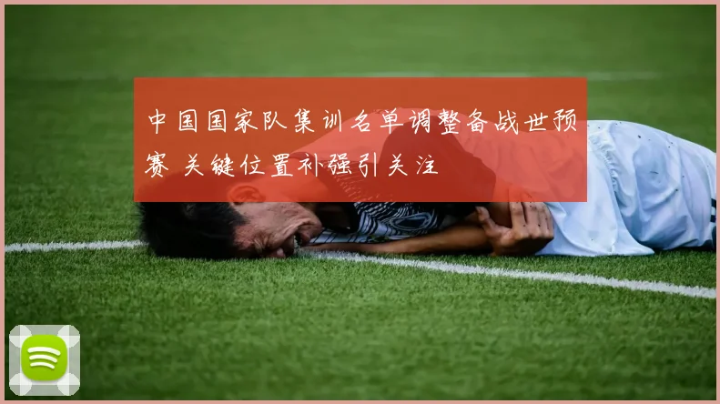 中国国家队集训名单调整备战世预赛 关键位置补强引关注