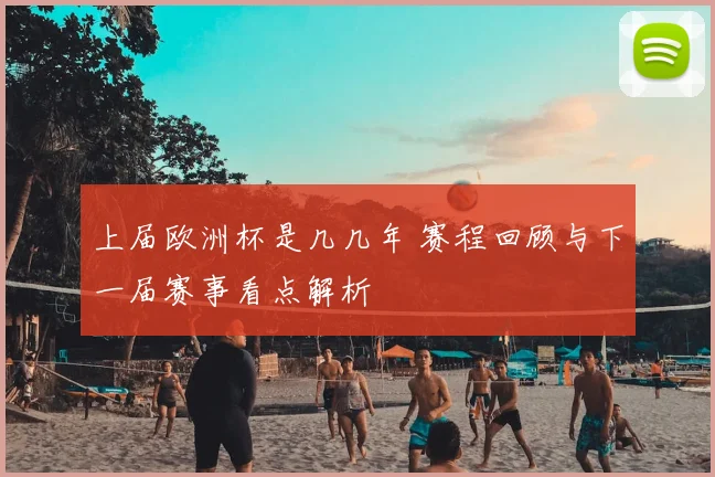 上届欧洲杯是几几年 赛程回顾与下一届赛事看点解析