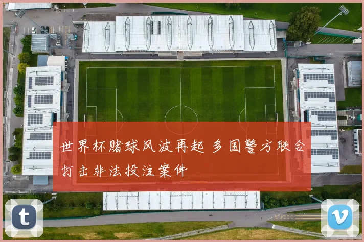 世界杯赌球风波再起 多国警方联合打击非法投注案件
