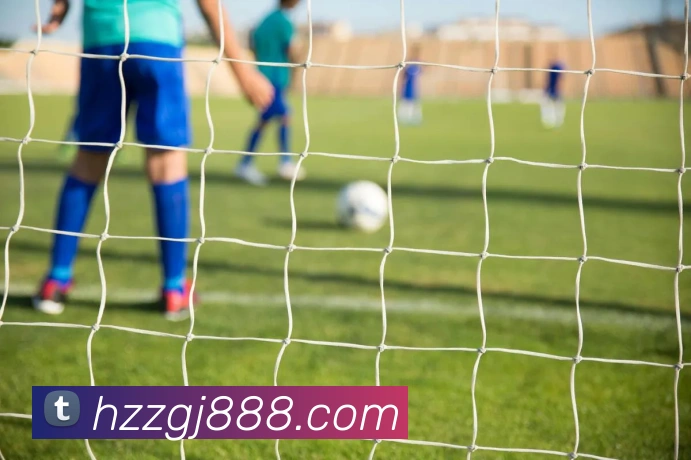 开运体育官网登录入口品牌故事